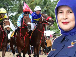 Pacuan Kuda di Padang Pariaman Hidupkan Budaya dan Ekonomi Masyarakat