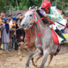 Pacuan Kuda