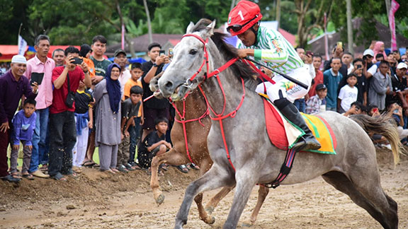 Pacuan Kuda