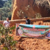 Tambang