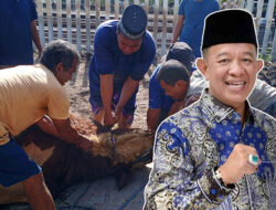 Beny Saswin Nasrun Salurkan 6 Ekor Sapi Kurban, Wujud Nyata di Idul Adha