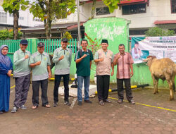Tumbuhkan Rasa Kebersamaan, Kemenag Padang Berkurban 5 Ekor Sapi