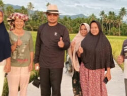 Ketua Komisi II DPRD Sumbar Tinjau Pembangunan Jalan Usaha Tani di Pasaman