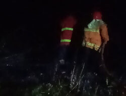 Kebakaran Lahan Sawit Seluas 2 Hektare Terjadi di Bidar Alam, Kerugian Capai Rp3,5 Juta