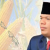 Jagung