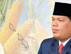 Wujudkan Kemandirian Pangan, Wakil Bupati Jakop Dorong Pertanian Jagung untuk Ekonomi Rakyat Mentawai