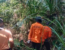 Tim SAR Gabungan Melakukan Pencarian Warga Hilang di Hutan Siberut Barat Daya