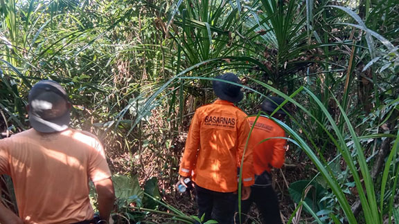 Hutan