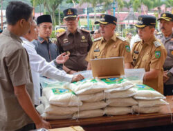 Perkuat Swasembada dan Ketahanan Pangan, Bupati Luncurkan Beras Equator Pasaman