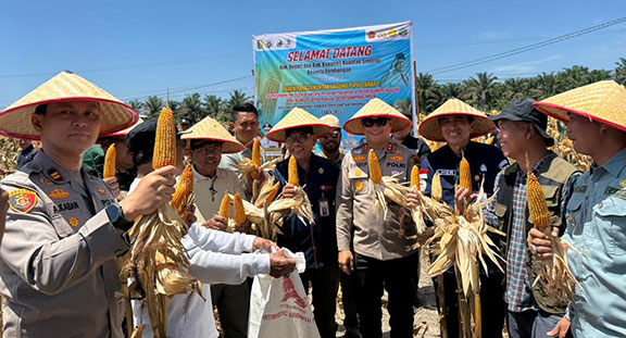 Jagung