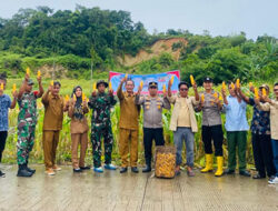 Panen Jagung di Dusun Sirokdak, Kapolsek Siberut Sinergi dalam Mendukung Swasembada Pangan