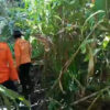 Operasi