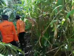 Basarnas Mentawai Resmi Tutup Operasi Pencarian Warga Hilang di Hutan Pasikiat Taileleu
