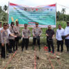 Mentawai