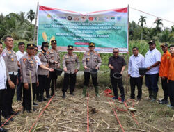 Polres Kep. Mentawai Bersama Forkopimda dan Masyarakat Gelar Penanaman Jagung Serentak Kuartal IV dan Peresmian Gudang Ketahanan Pangan Polri