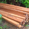 Logging