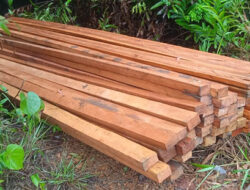 Cegah Illegal Logging, Polres Solok Selatan Awasi Ketat Izin Usaha Sarkel dan Somel