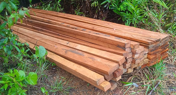 Logging