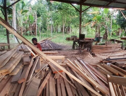 Isu Pungli Oleh Oknum Polres Solsel Inisial HS di Aktivitas Pengolahan Kayu Dibantah Pemilik Sarkel