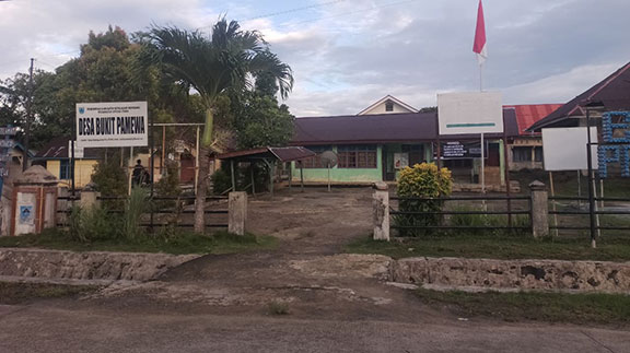 Desa