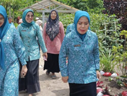 Ketua TP PKK Padang Pariaman Tinjau dan Nilai 11 Kelompok Dasawisma di Batu Kalang Utara