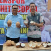 Bupati