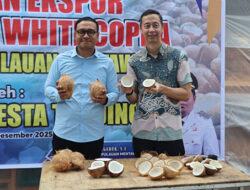 Bupati Mentawai Lepas Ekspor Perdana 25 Ton Edible White Copra