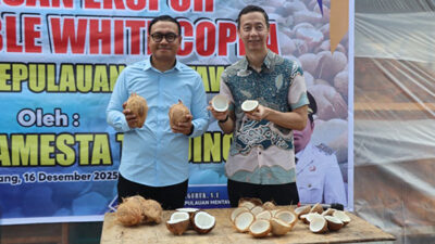 Bupati Mentawai Lepas Ekspor Perdana 25 Ton Edible White Copra