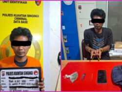 Tim Elang Kuantan Polres Kuansing Ungkap Kasus Penyalahgunaan Ganja, Satu Petani Diamankan di Perkebunan Sawit