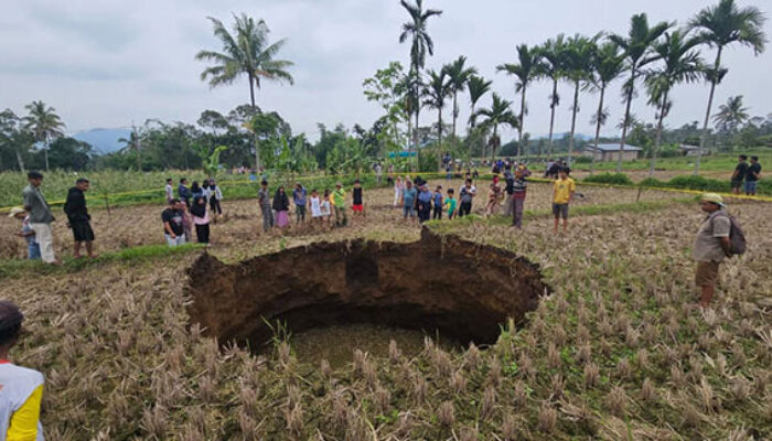 Lubang Misterius Muncul di Sawah Situjuh Batuah, Ahli Geologi Ingatkan Potensi Sungai Bawah Tanah