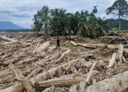 Banjir Bandang Aceh Tamiang Membuka Tabir, Pembalakan Liar 25 Tahun Diduga Jadi Biang Kerok