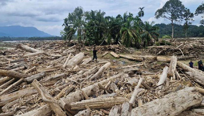 Banjir Bandang Aceh Tamiang Membuka Tabir, Pembalakan Liar 25 Tahun Diduga Jadi Biang Kerok