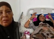 Berdarah Demi Tanah Warisan, Kronologi Nenek Saudah Dilempari Batu hingga Babak Belur
