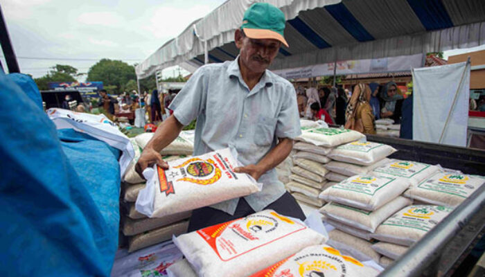 Impor 1.000 Ton Beras dari AS di Tengah Klaim Swasembada, Strategi Dagang atau Kontradiksi Kebijakan Pangan?