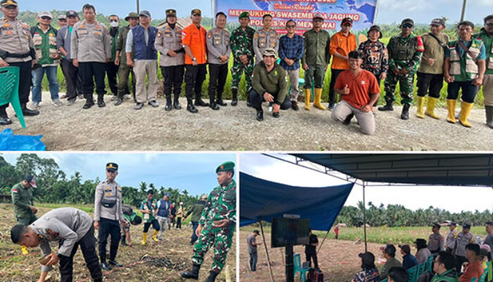 Polres Mentawai Laksanakan Penanaman Jagung Serentak Kuartal I Tahun 2026