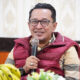 Bupati