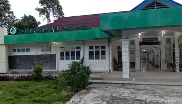Kapus Peipei Bantah Tuduhan Pemotongan Dana JKN dan Manipulasi Absensi Nakes