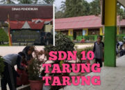 Siswa Belajar di Rumah Dinas Kepala Sekolah, Revitalisasi SDN 10 Tarung Tarung Terkendala Nilai Dapodik