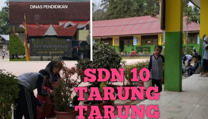 Siswa Belajar di Rumah Dinas Kepala Sekolah, Revitalisasi SDN 10 Tarung Tarung Terkendala Nilai Dapodik