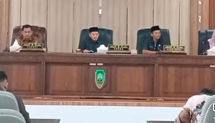 DPRD Pasaman Soroti Tambang Emas Ilegal di Rao, Desak Penertiban Segera