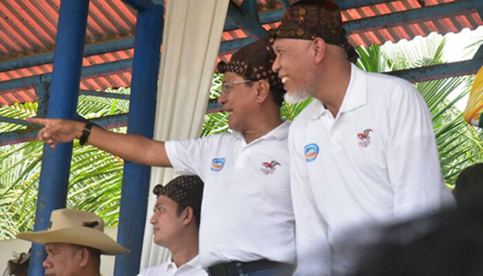 Semarak Pacu Kudo 2026: Tradisi, Sportivitas, dan Dampak Ekonomi Menyatu di Padang Pariaman