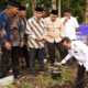 Bupati