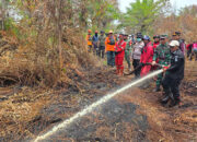 Patroli Udara Terpadu Digeber, Penanganan Karhutla di Pelalawan Difokuskan pada Lahan Gambut