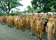 Ini Pesan Wabup Yulian Efi Pada Apel Gabungan ASN
