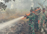 70 Hektare Lahan Gambut Terbakar, Tim Gabungan Kerahkan Kekuatan Maksimal