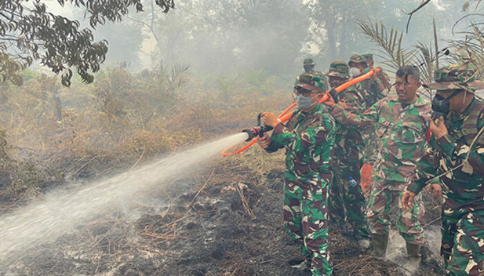 70 Hektare Lahan Gambut Terbakar, Tim Gabungan Kerahkan Kekuatan Maksimal