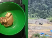 Tambang Emas Ilegal Menggila di Supayang, Aparat “Tutup Mata!”