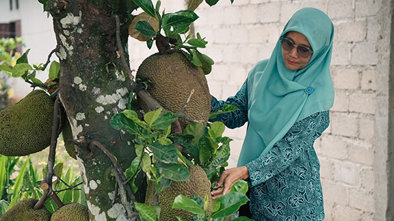 Nangka