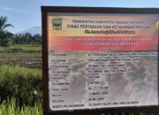 Proyek Sawah APBN Rp271 Juta Molor: Jadwal Diduga Manipulatif, PPK Bungkam