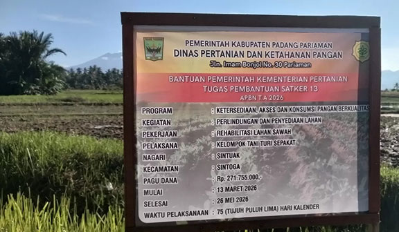 Sawah